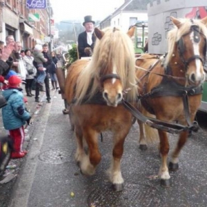 Les chevaux tirant la caleche