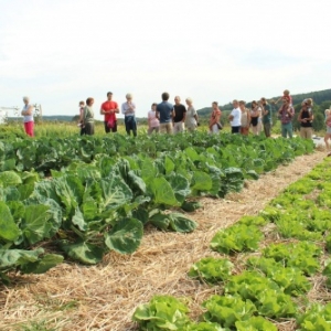  Le « Coin des Producteurs » à Malmedy                         