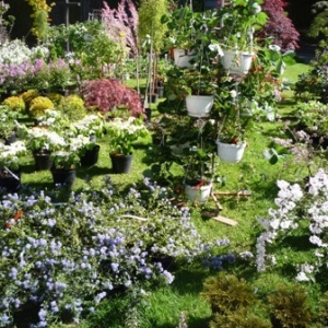 MALMEDY              15ème édition de la  Fête des Fleurs et du Jardin