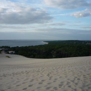 La Dune du Pylat ( photo : F. Detry ) La Dune du Pylat ( photo : F. Detry )