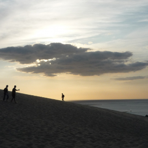 La Dune du Pylat ( photo : F. Detry ) La Dune du Pylat ( photo : F. Detry )