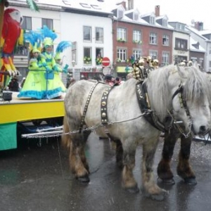 Participants au cortege - cavalcade