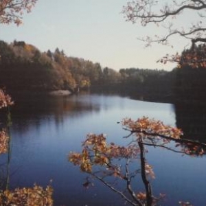 Le lac ( photo Malmedy - Folklore )