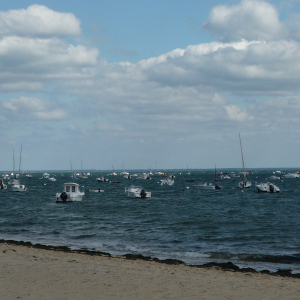 Cap - Ferret ( photo : F. Detry ) Cap - Ferret ( photo : F. Detry )