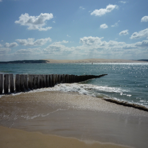 Cap - Ferret ( photo : F. Detry ) Cap - Ferret ( photo : F. Detry )