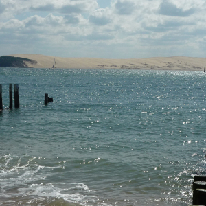 Cap - Ferret ( photo : F. Detry ) Cap - Ferret ( photo : F. Detry )