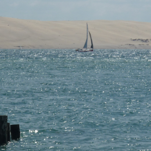 Cap - Ferret ( photo : F. Detry ) Cap - Ferret ( photo : F. Detry )