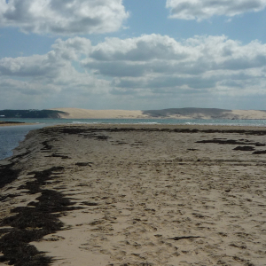 Cap - Ferret ( photo : F. Detry ) Cap - Ferret ( photo : F. Detry )