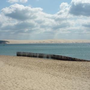Cap - Ferret ( photo : F. Detry ) Cap - Ferret ( photo : F. Detry )