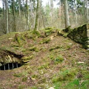 Bezonvaux : cave d'une habitation