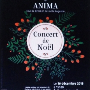 Concert de Noël du ROYAL VALEUREUX LIEGEOIS & de ANIMA