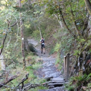 13° édition du Trail des Hautes Fagnes                                