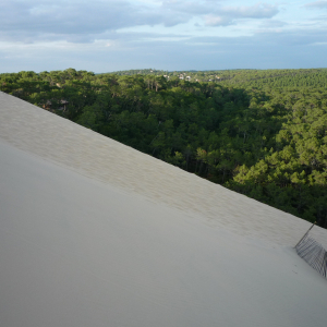 La Dune du Pylat ( photo : F. Detry ) La Dune du Pylat ( photo : F. Detry )
