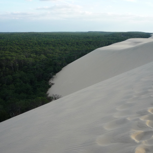 La Dune du Pylat ( photo : F. Detry ) La Dune du Pylat ( photo : F. Detry )