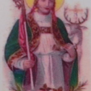 Saint Hubert