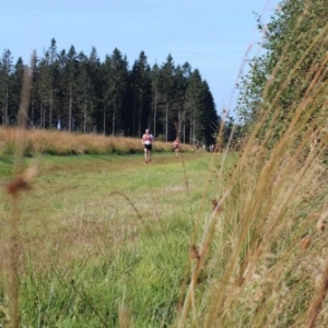 13° édition du Trail des Hautes Fagnes                                