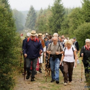 La balade fagnarde ( photo : Denis Dosquet )