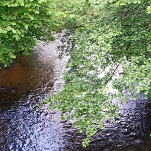 L'Amblève à Pont