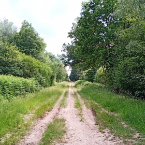 Sentier Spa - Malchamps vers Berinzenne