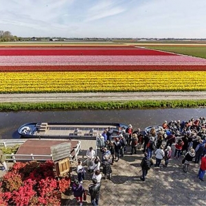 Keukenhof ( NL )