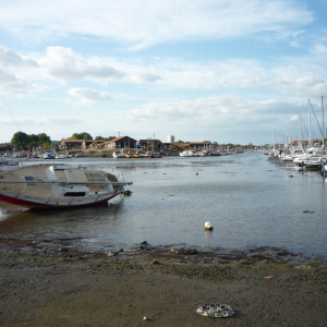Le Teich ( photo : F. Detry ) Le Teich ( photo : F. Detry )