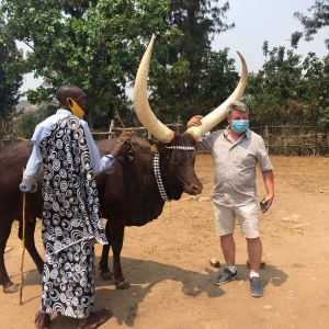 Un Directeur ciorageux face à une vache de la Royauté