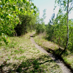 Découverte du parcours