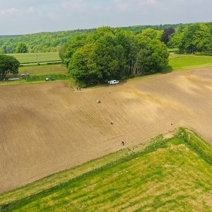 L'étendue du cépage  (Photo :  Charles Piron )