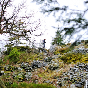 Xhoffraix  Promenade du Négus Les Chodires  (c)Pierre_Pauquay_SPRL_Cernix