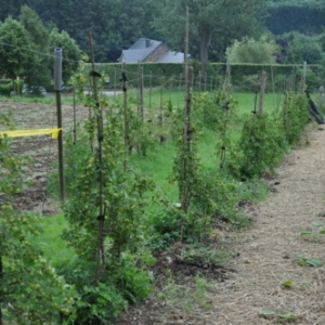 Meiz-Malmedy. Journées fermes ouvertes (JFO).