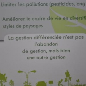 Petit-Thier : Entretien des espaces publics et désherbage.