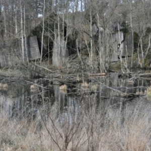 Lierneux. Colloque sur le castor. (3)