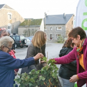 Petits fruits, grands effets et haie pare-congere