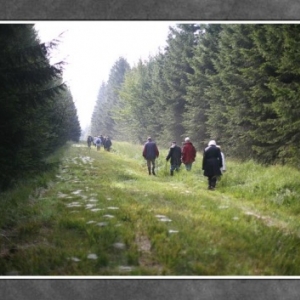 Promenades Gedinne Ecolo