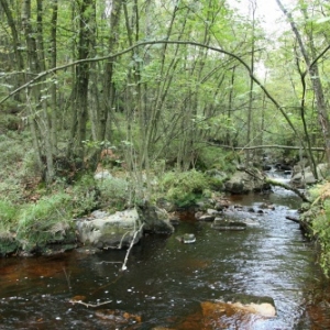 Promenades Gedinne Ecolo