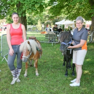 Fete du cheval de trait, Hargnies