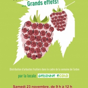 Arbustes fruitiers Gedinne Ecolo