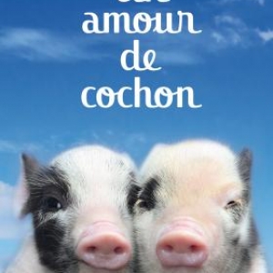 Un amour de cochon de Matt Whyman  Editions JC Lattes.