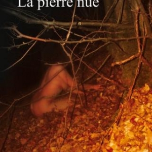 La pierre nue de Daniel Haidon – Editions Baudelaire.