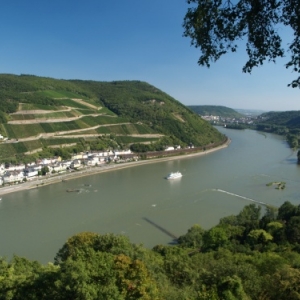 Rudesheim