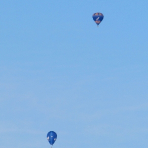 BELGIAN BALLOON TROPHY 2016 39