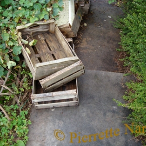 Caissettes bois sur plaques isorel 