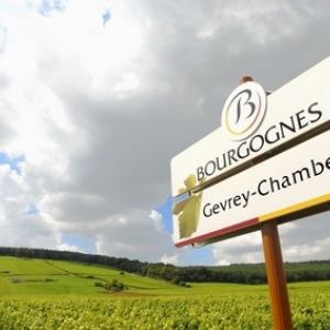 Le vin en Bourgogne: un patrimoine.