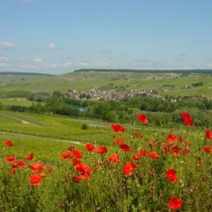 Bienvenue au Pays des Bulles…