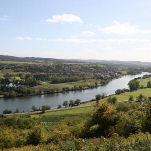 Vendanges Contz les Bains