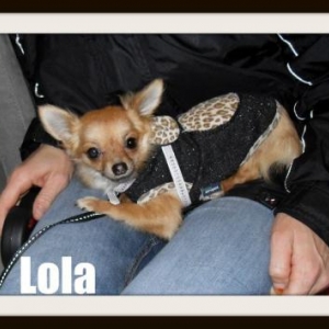 lola