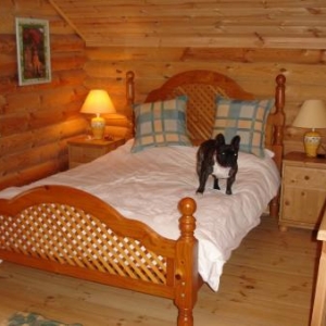 Chalet scandinave dans les ardennes 