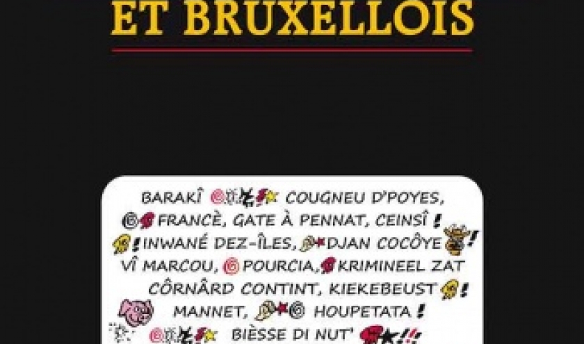 Le GROS DICO des JURONS WALLONS et BRUXELLOIS