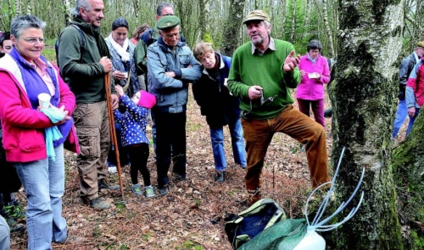  La FETE du BOULEAU du 9 avril 2017