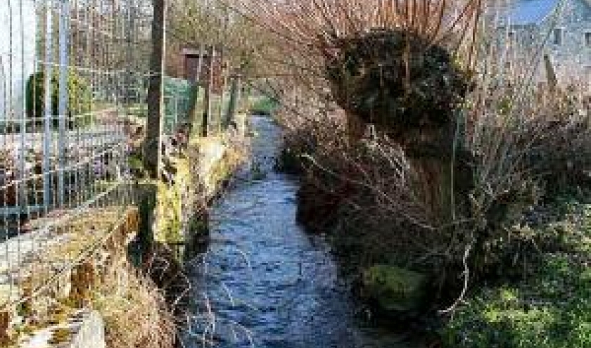 Epuration des eaux usees en zone rurale.